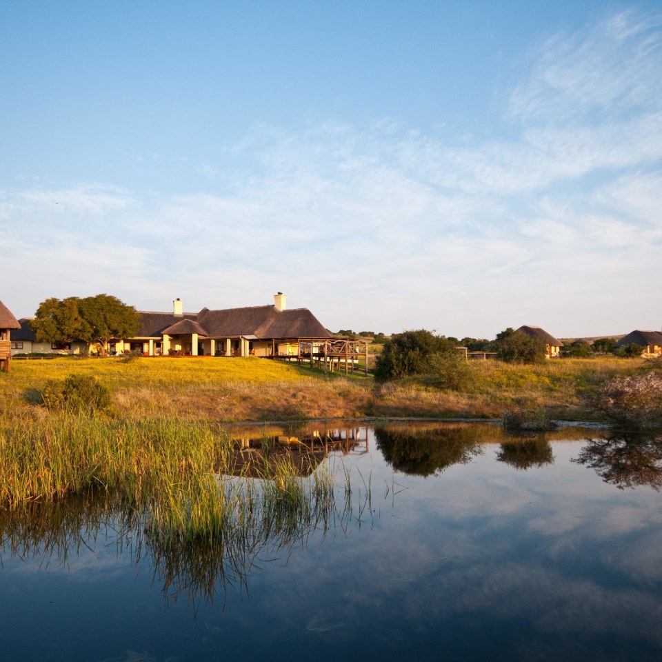 Amakhala Hlosi Game Lodge